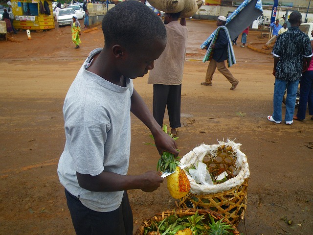 ウガンダ　パイナップル